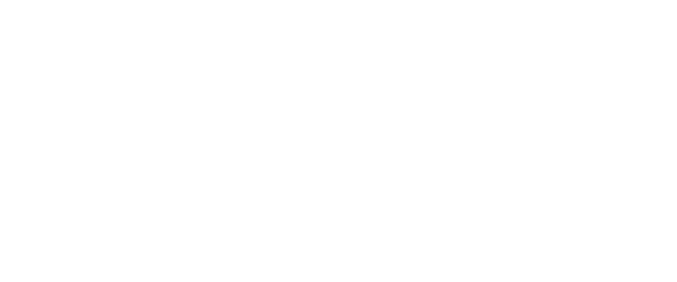logo-vsi